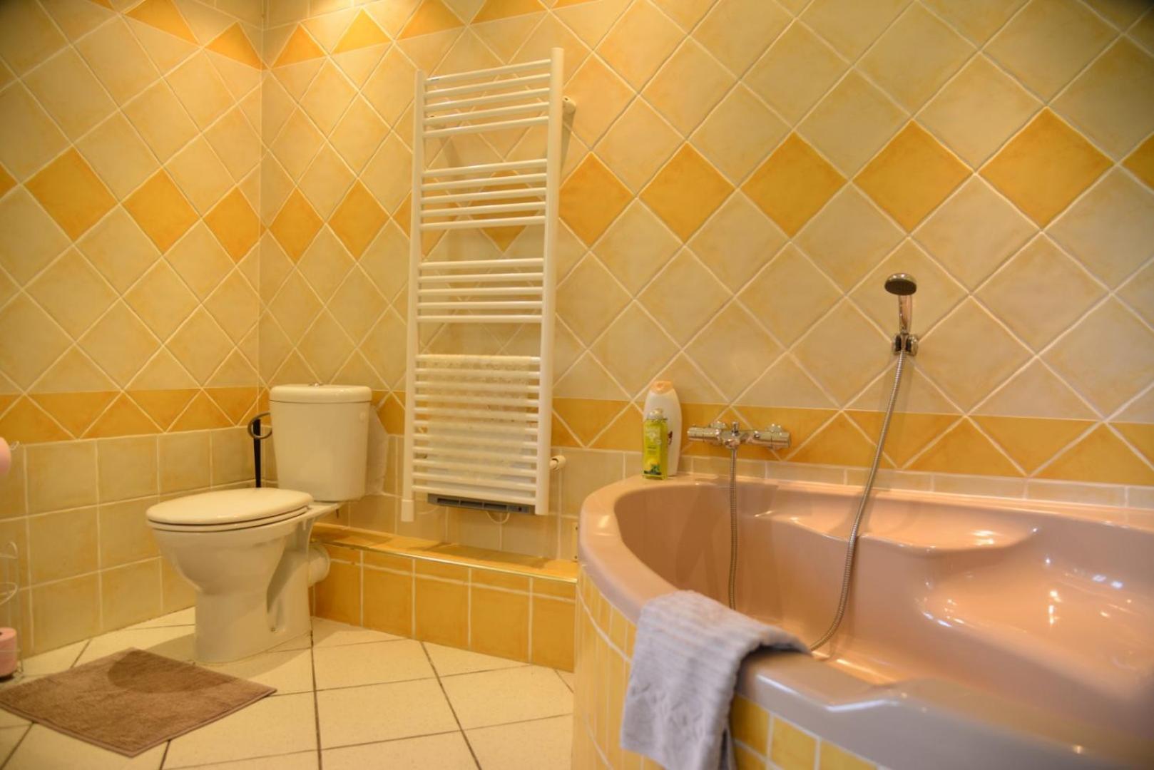 Au Grand Bonheur Bed and Breakfast Besseges Kamer foto